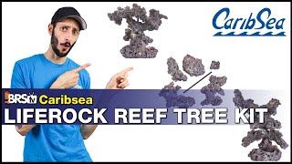 CaribSea Reef Tree Kit Review What is it How to use it Is it the aquascape your reef tank wants [upl. by Davide]