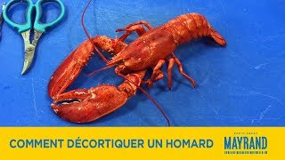 Comment décortiquer un homard  Mayrand [upl. by Cynthia]