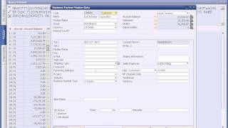 Creating a query in SAP Business One [upl. by Lap]