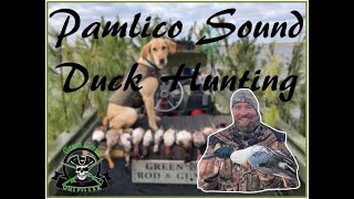 PAMLICO SOUND Duck Hunting  Unwanted Visitor [upl. by Iclek542]