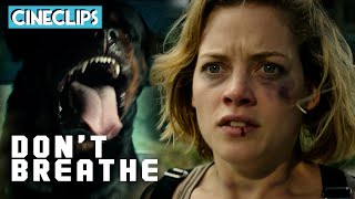 Chased By A Rottweiler  Dont Breathe  CineStream [upl. by Gnahc]