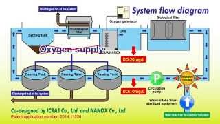 A closed recirculating aquaculture system CRAS using oxygenated ultra fine bubbles [upl. by Gladdy804]