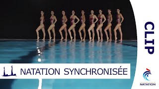 Grâce et Performance  La Natation Synchronisée par lEquipe de France  CLIP [upl. by Belden799]