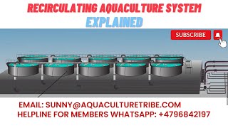 How does the RAS recirculating aquaculture system work [upl. by Elli]