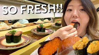 CONVEYOR BELT SUSHI FEAST🍣 Tokyos FRESHEST Sushi Train Experience [upl. by Marilou]