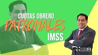 Cadefi  Cuotas Obrero Patronales IMSS [upl. by Schroder281]