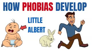 How phobias develop  What Little Albert taught us [upl. by Eicyac]