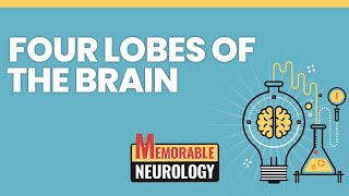 Four Lobes of the Brain Mnemonics Memorable Neurology Lecture 1 [upl. by Yee]