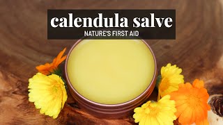 DIY Calendula Salve 🌼 Natural healing skincare for cuts burns eczema  GroundedHavenHomestead [upl. by Tuhn]