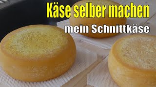 Käse selber machen  Mein Schnittkäse [upl. by Aluap909]