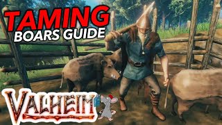 Unlimited leather Scraps How To Tame Boars In Valheim Quick Guide [upl. by Kristin]