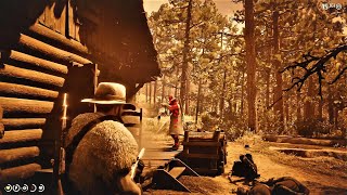 Red Dead Redemption 2 Six Point Cabin Litchfield Repeater [upl. by Berlyn345]