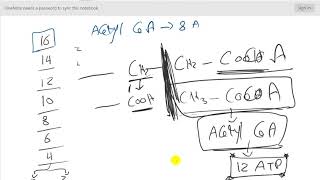 Lipid metabolism  Lec2  Beta oxidation [upl. by Nedaj]