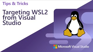 Targeting WSL2 from Visual Studio 2022 [upl. by Aicnerolf]