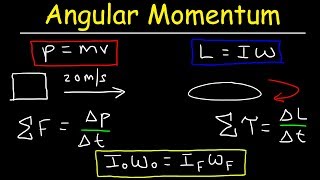 Angular Momentum  Basic Introduction Torque Inertia Conservation of Angular Momentum [upl. by Anahs]