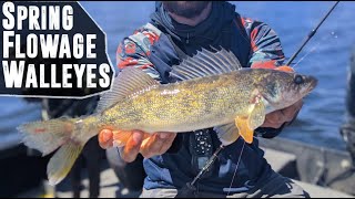 Spring Walleye Fishing On FLOWAGES [upl. by Hibbs510]