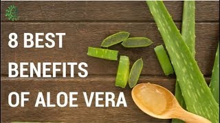 15 USES OF ALOE VERA GEL  Aloe Vera Benefits for Skin and Hair [upl. by Ecnarwal930]