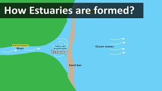 How Estuaries are formed  Coastal Estuary sandbar  Geography terms [upl. by Jaycee]