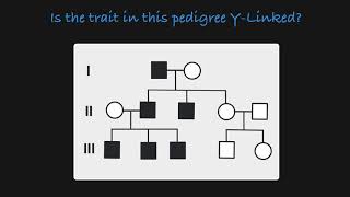 Inheritance of XLinked Genes [upl. by Bahe]