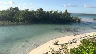 Kamalame Cay Bonefish on the Flats [upl. by Hajed]