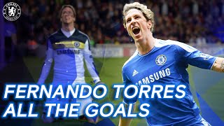 Fernando Torres  All the Goals  Best Goals Compilation  Chelsea FC [upl. by Topliffe]