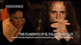 Flamenco Show  Tablao Flamenco El Palacio Andaluz [upl. by Derraj15]