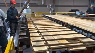 TS Lumber Stacker Systems Overview [upl. by Corbin]