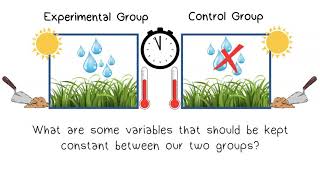 The Scientific Method Part 3 Setting up an Experiment [upl. by Kriss949]