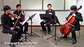 Canon in D by Pachelbel Vetta Quartet from Singapore [upl. by Cutcliffe]