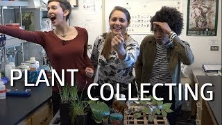 Plant Collecting amp Herbarium Research Pt 1 [upl. by Budd]