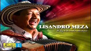 El Guayabo De La Ye  Lisandro Meza  Discos Fuentes  Audio [upl. by Kinzer971]