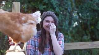 The Homesteaders Guide to Chicken Keeping  Part 1 [upl. by Oicatsana]