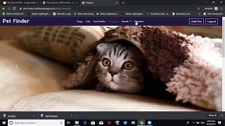 PetFinder  A Web App for Pet Adoption  Software Engineering Courses Project Demo 4 [upl. by Ycat148]