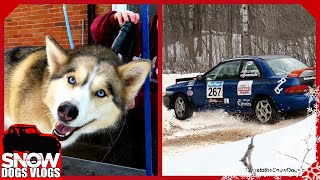 SNODRIFT RALLY and FLUFFY HUSKIES [upl. by Alameda]