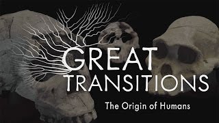 Great Transitions The Origin of Humans — HHMI BioInteractive Video [upl. by Arther]