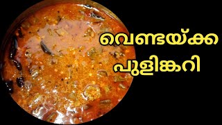 Vendakka Pulincurry  Kerala Special Recipe  വെണ്ടയ്ക്ക പുളിങ്കറി [upl. by Cirillo]