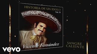 Vicente Fernández  Sangre Caliente Cover Audio [upl. by Aniryt438]