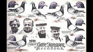 Racing Pigeon History  The Janssen Brothers [upl. by Norahc]