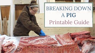 How To Butcher A Pig  Entire Breakdown PRINTABLE GUIDE [upl. by Cote]