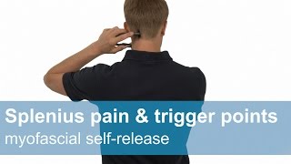 Splenius capitis and cervicis pain amp trigger points  Myofascial release [upl. by Joub519]