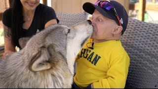 I KISSED A WOLF  Verne Troyer [upl. by Arundell]