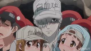 We must Protect the Platelets  Hataraku Saibou Episode 11 [upl. by Ahsiram962]