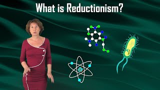 What is Reductionism [upl. by Lapo721]