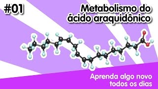 AANTD 01 Metabolismo do Ácido Araquidônico [upl. by Hnim665]