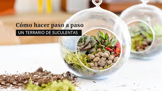 Cómo hacer un terrario de suculentas [upl. by Leihcar]