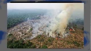 O Dia Mundial do Meio Ambiente nasceu aqui Conferência de Estocolmo 1972 [upl. by Ainoyek]