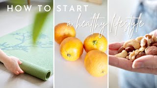 How to START a Healthy Lifestyle  7 pillars of good health [upl. by Elleoj]