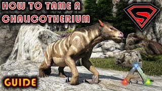 ARK HOW TO TAME A CHALICOTHERIUM 2019  EVERYTHING YOU NEED TO KNOW ABOUT TAMING A CHALICOTHERIUM [upl. by Auqinahc]