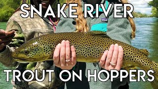 Epic Snake River Hopper Fishing [upl. by Niddala]