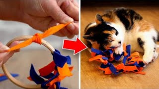 Easy To Make DIY Cat Toys Your Pet Will Love [upl. by Damalus439]